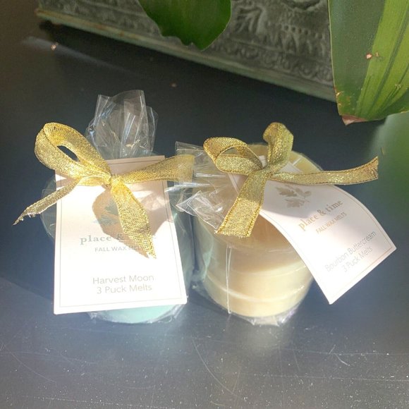 Place & Time FALL Wax Melts Lot Bourbon Buttercream Harvest Moon 6 Pucks - Picture 1 of 6
